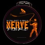 Nerve Fibre